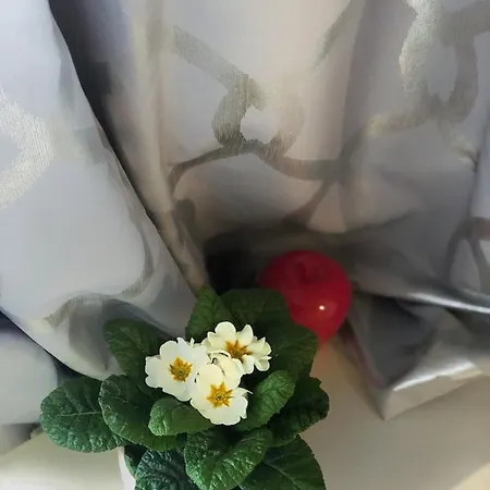 Bohemian - Seifertova Прага